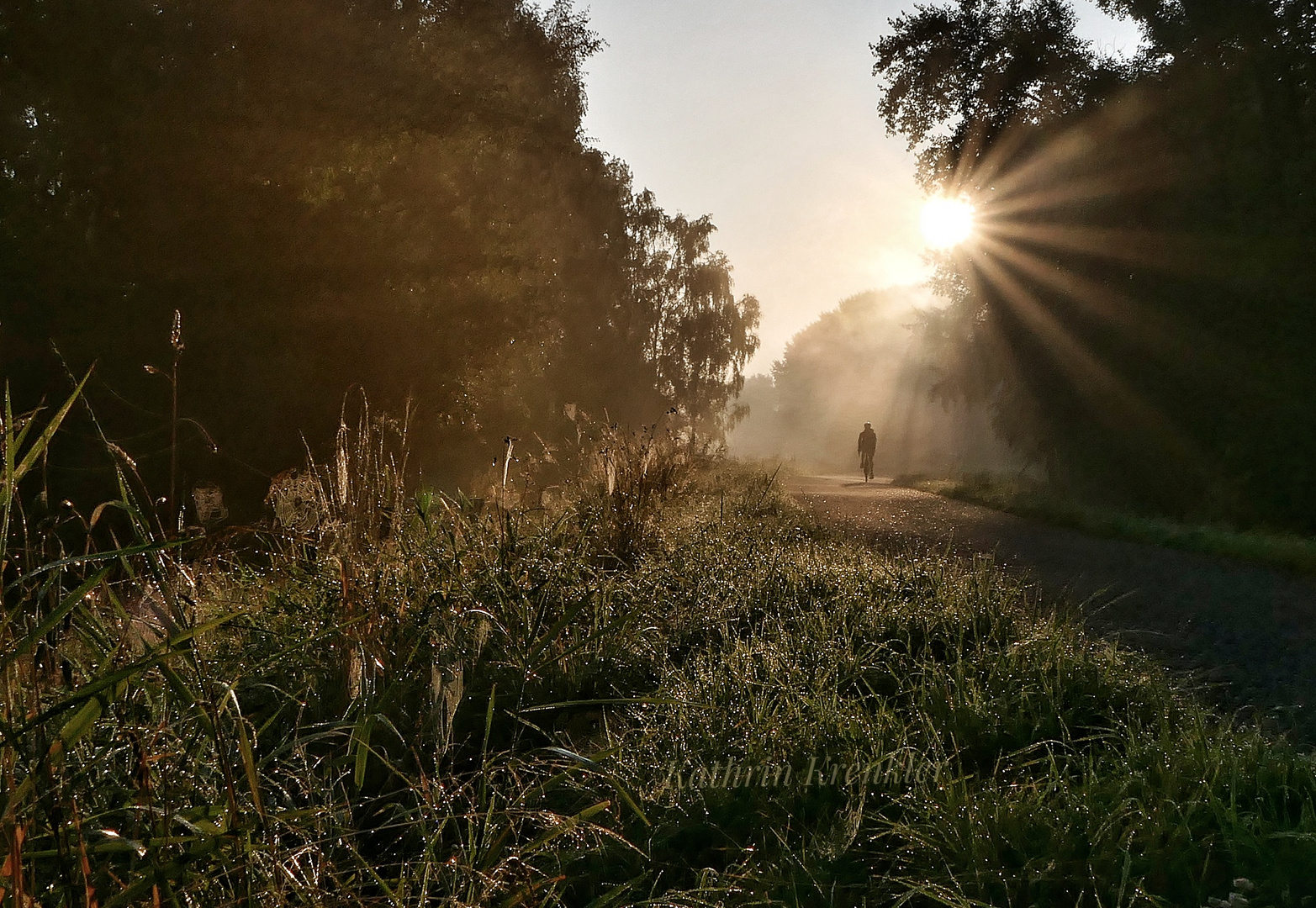 Ein Morgen im August