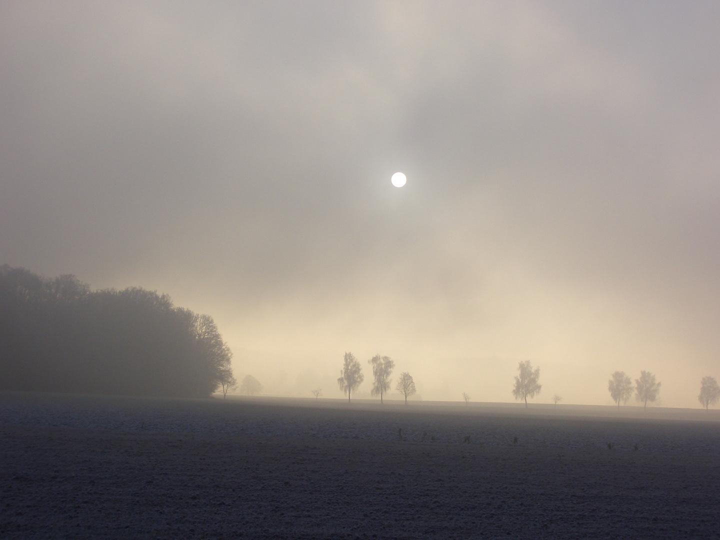 Ein Morgen im Dezember