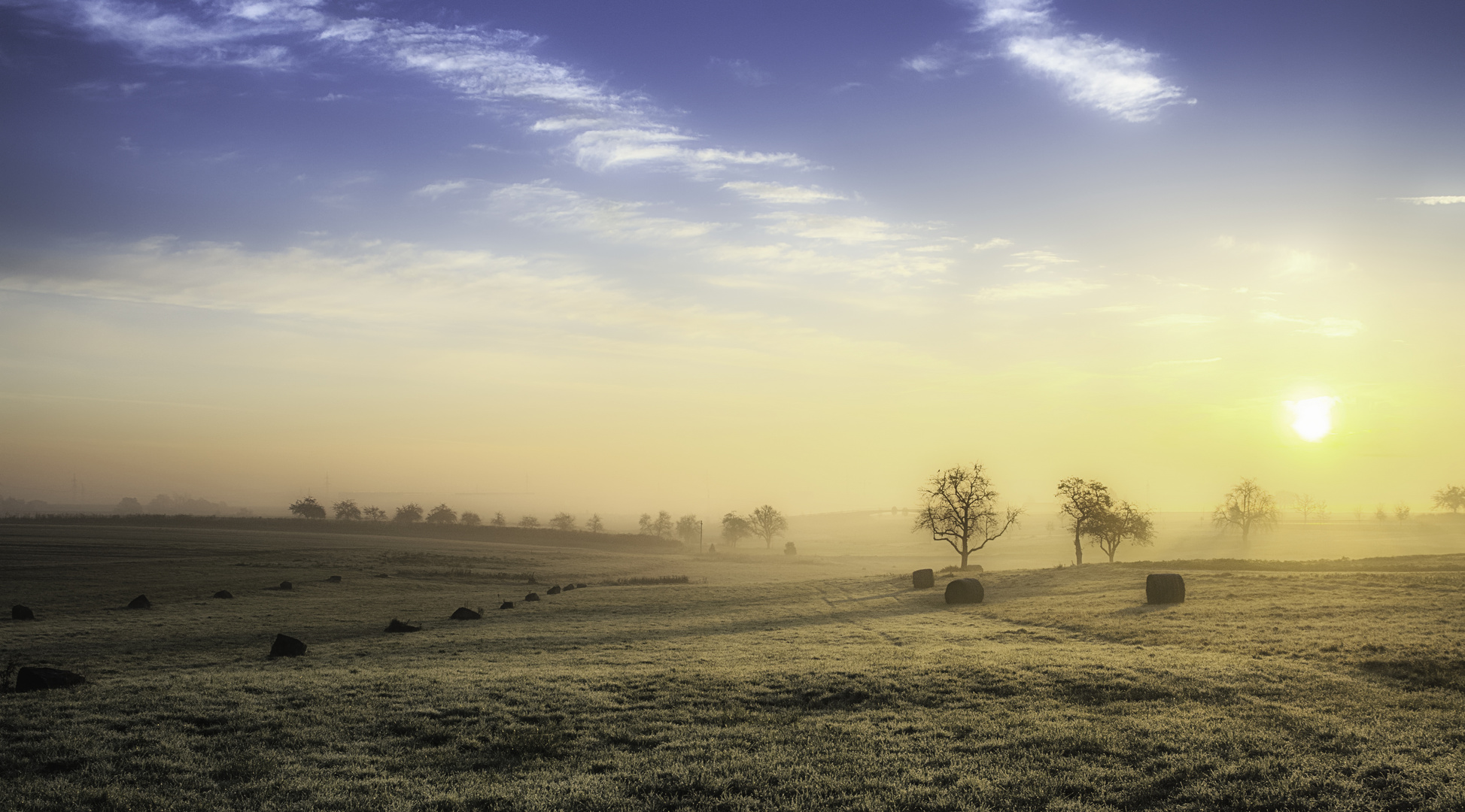 ein Morgen im Dezember