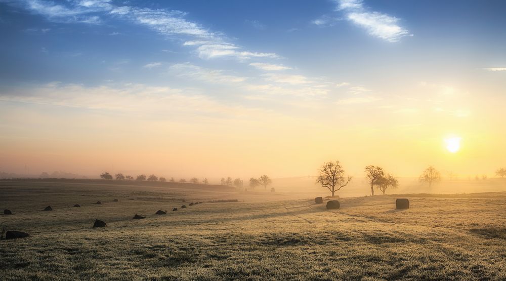 ein Morgen im Dezember