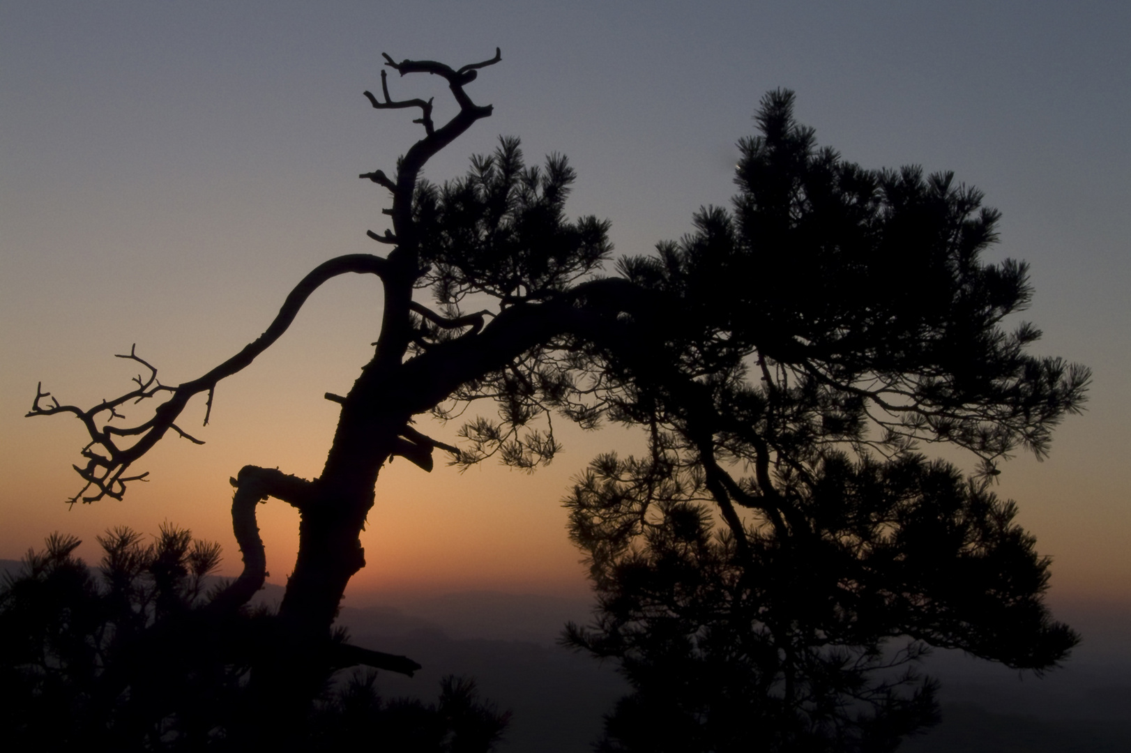 Ein Morgen im Elbsandsteingebirge 2