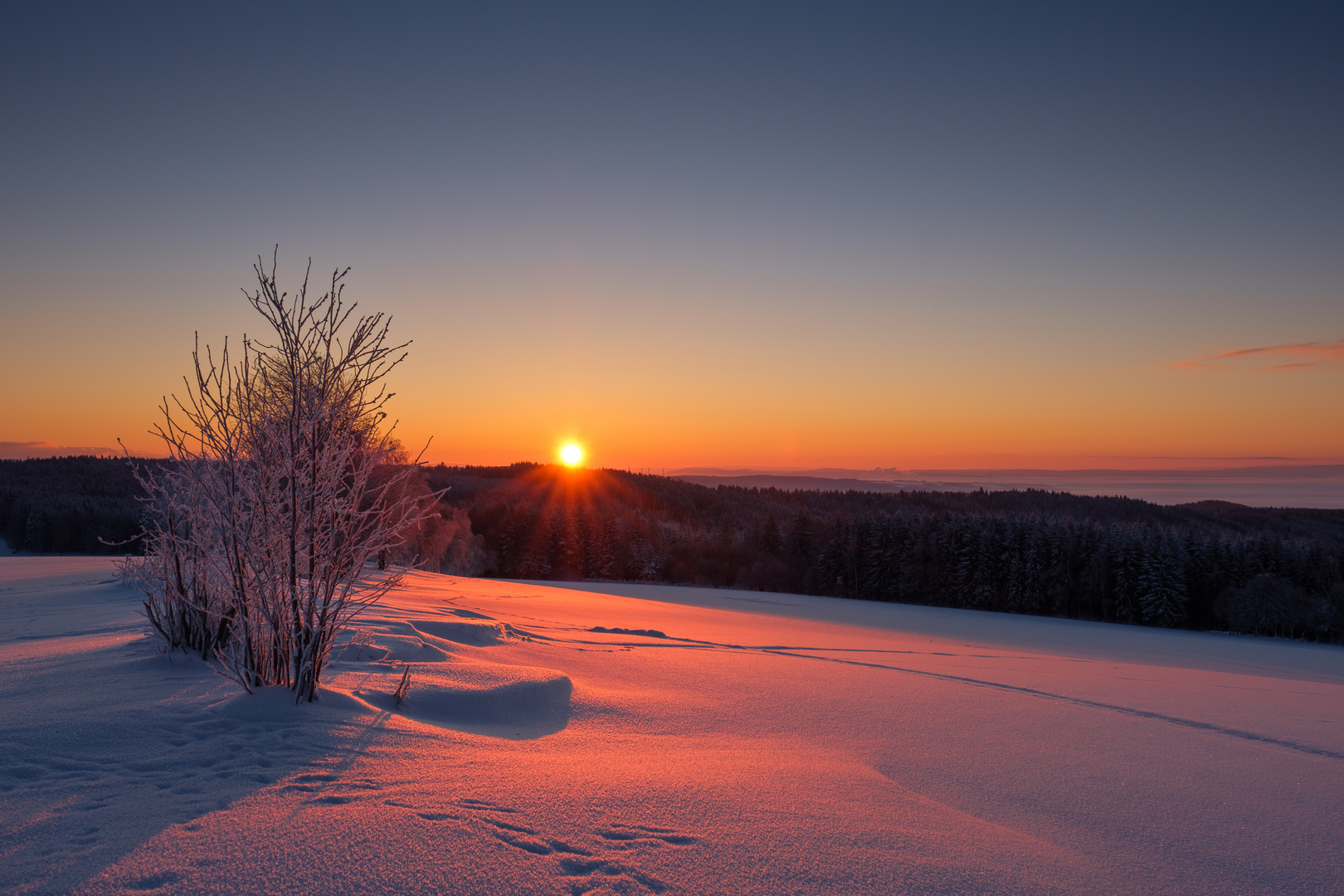  - Ein Morgen im Februar - 