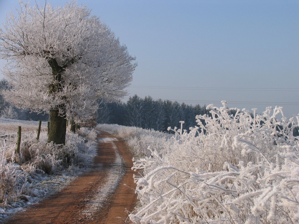 Ein Morgen im Februar