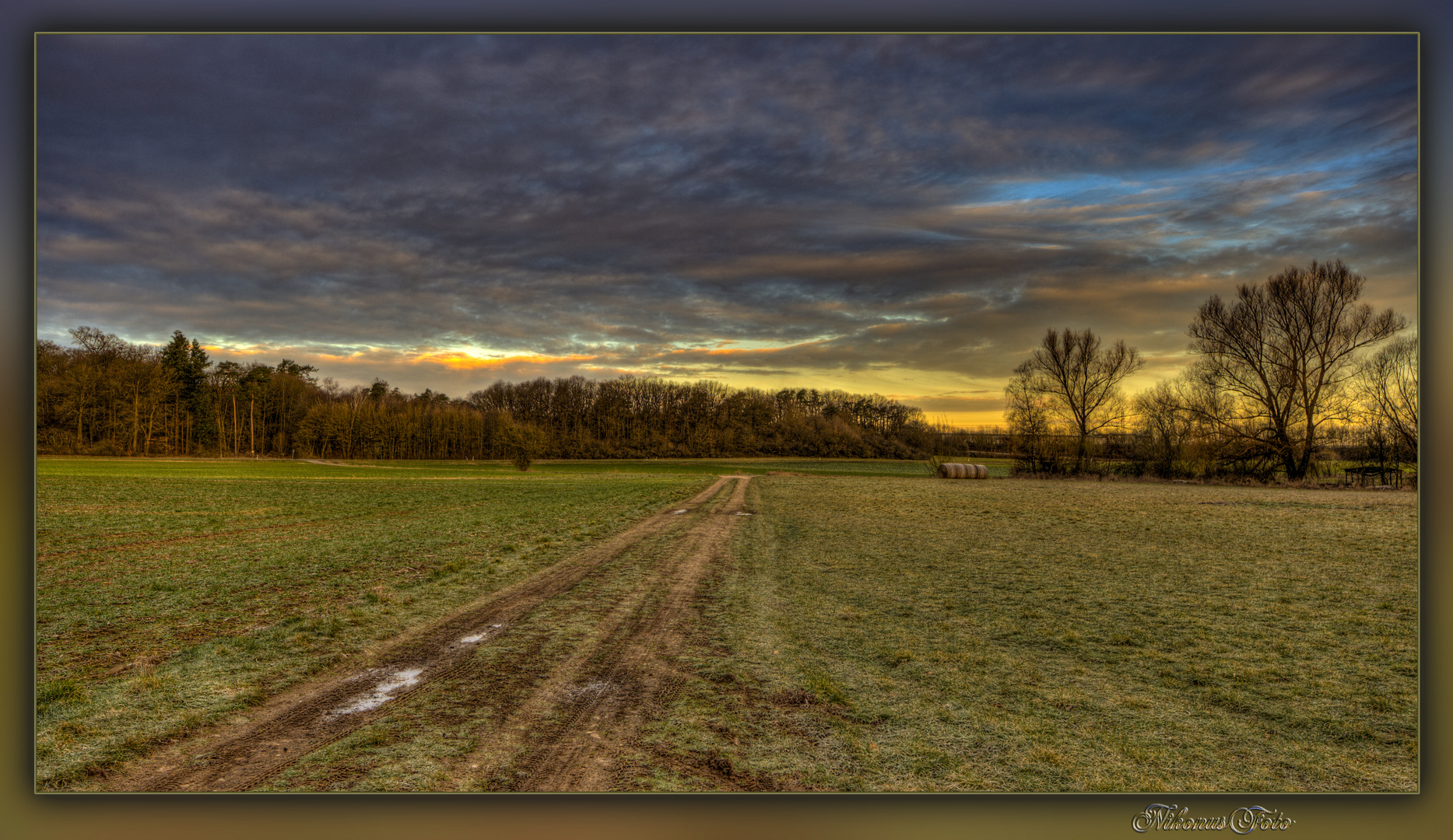  ein Morgen im Feld