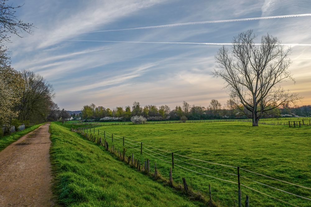 Ein Morgen im Frühling