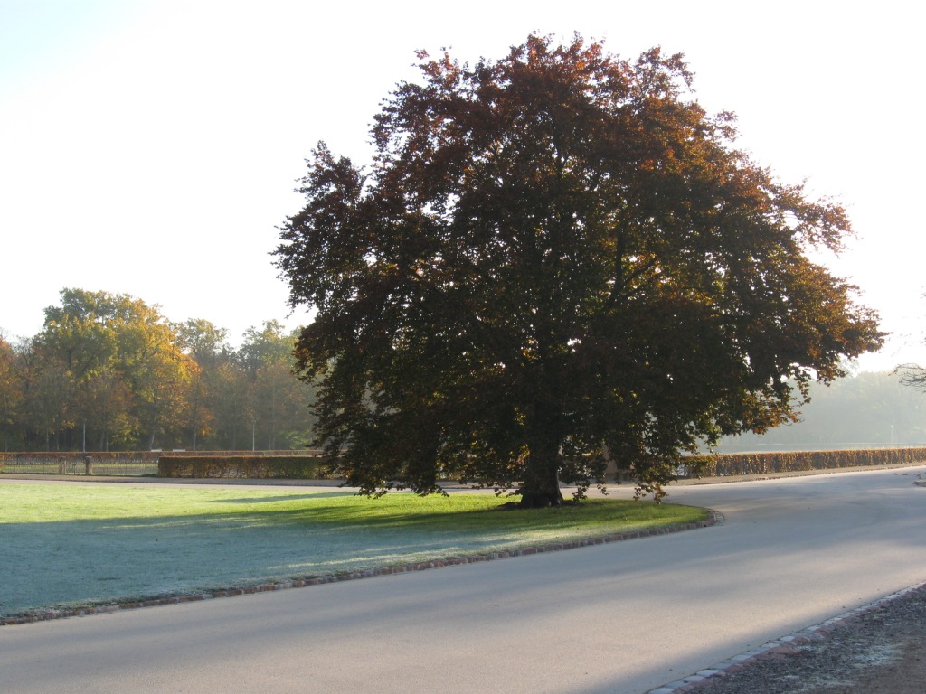 ein Morgen im Großen Garten