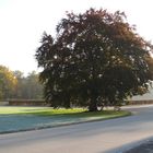 ein Morgen im Großen Garten