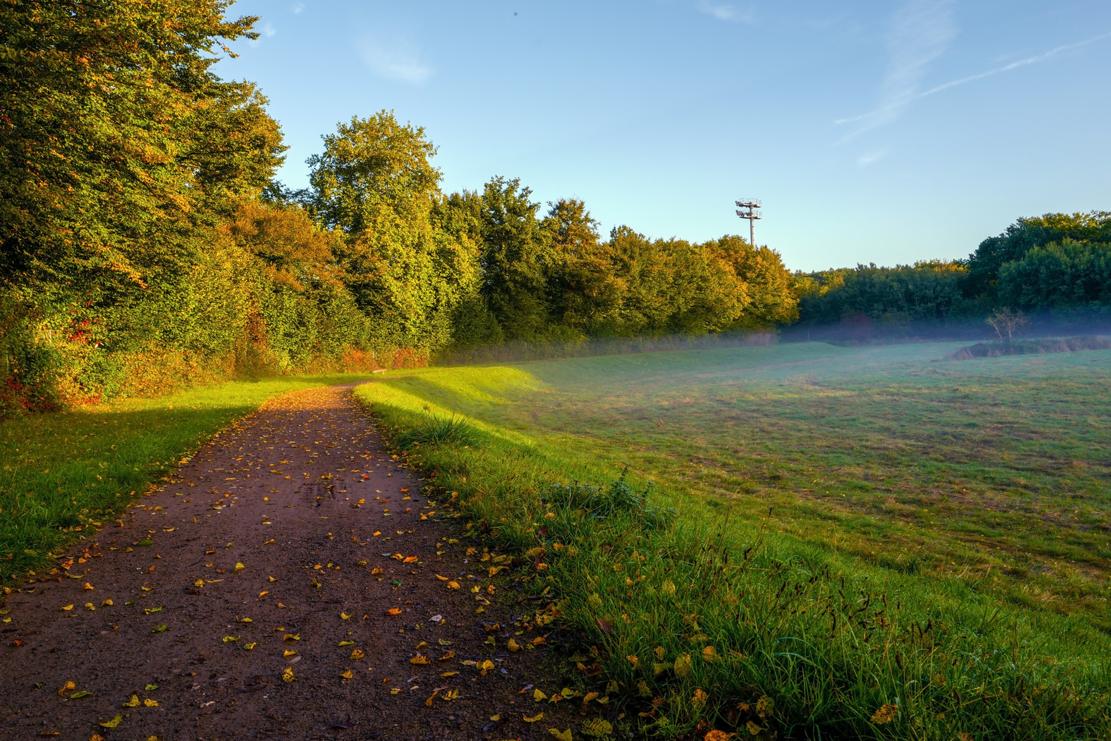 Ein Morgen im Herbst....