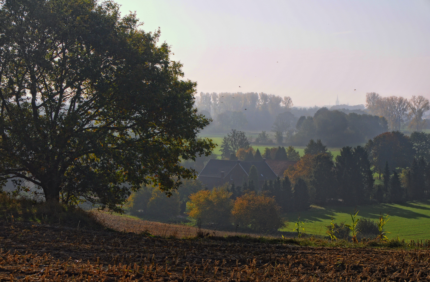 Ein Morgen im Herbst