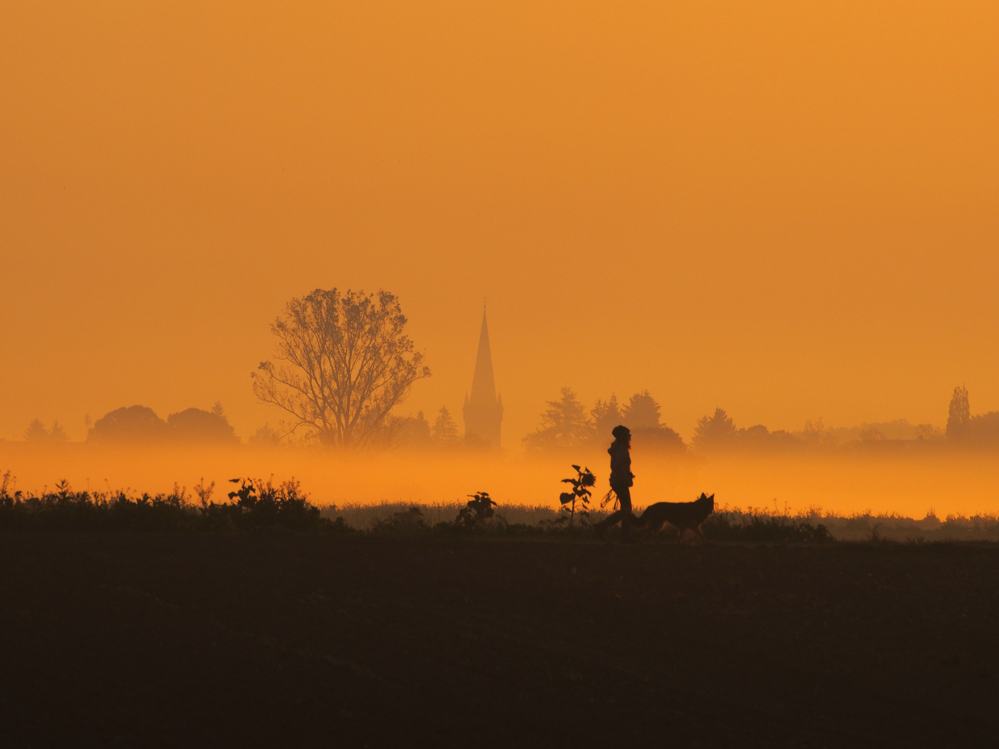 Ein Morgen im Herbst