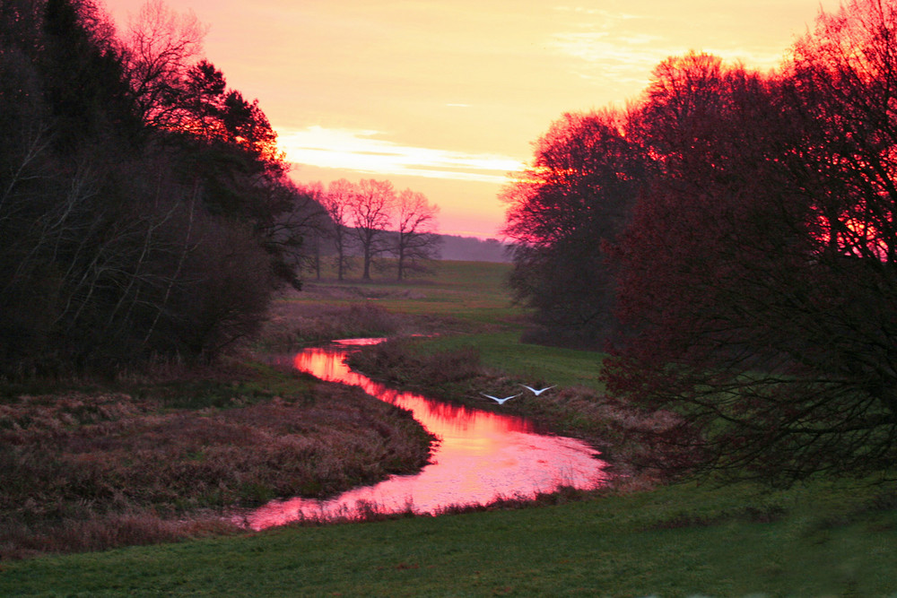 ein Morgen im Januar