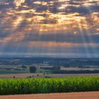 Ein Morgen im Juli 2022 am Eifelblick Bürvenich