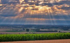 Ein Morgen im Juli 2022 am Eifelblick Bürvenich