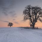 Ein Morgen im Kraichgau