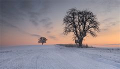 Ein Morgen im Kraichgau