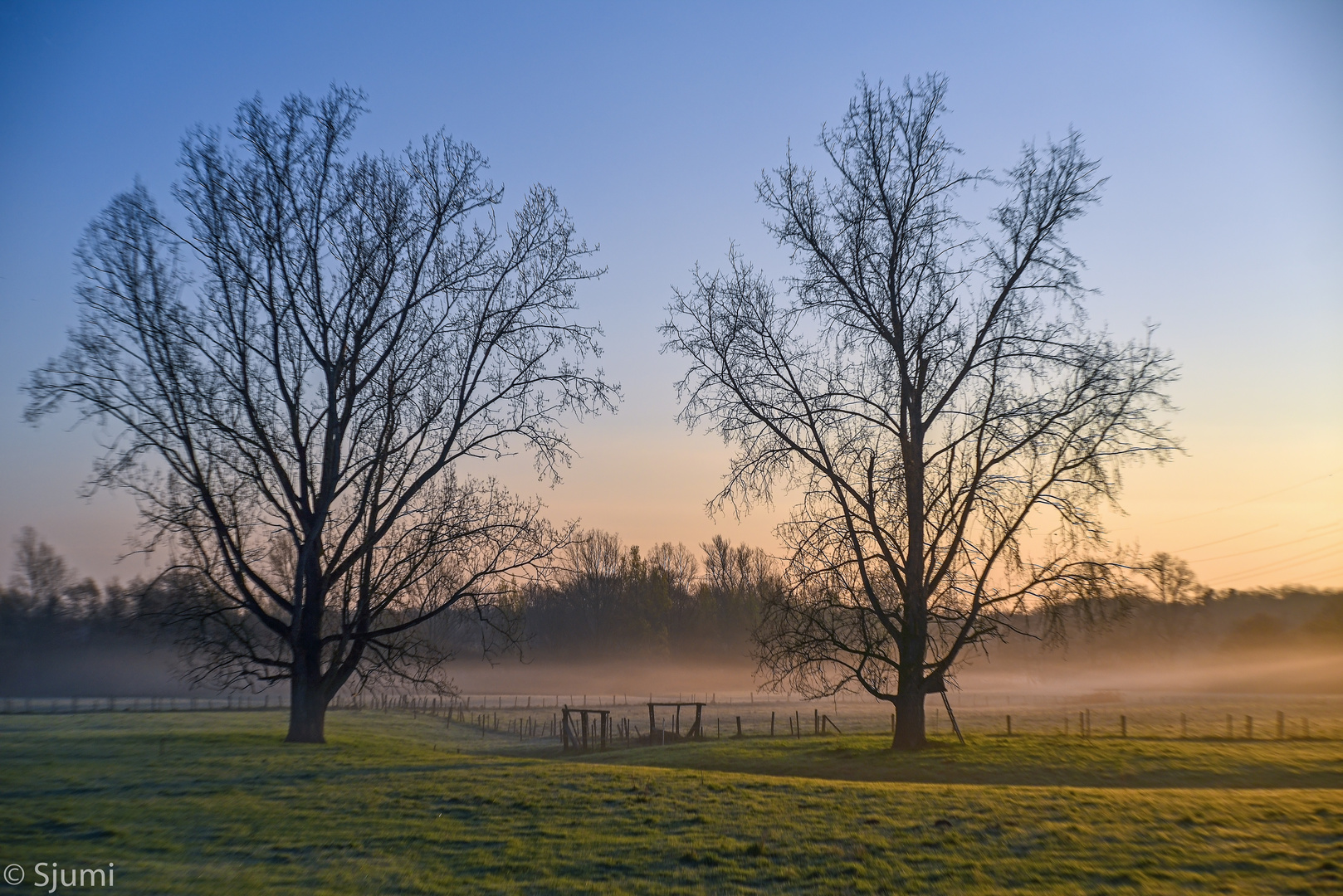 Ein Morgen im März 