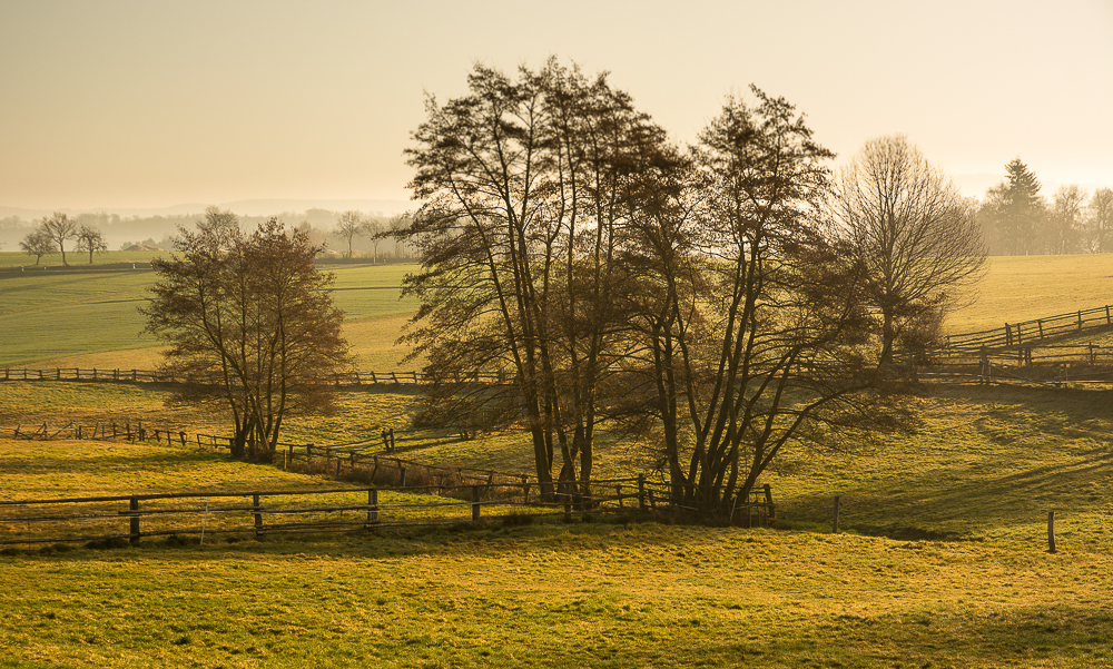 Ein Morgen im März