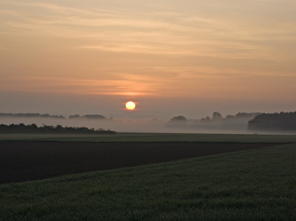 Ein Morgen im Mai...