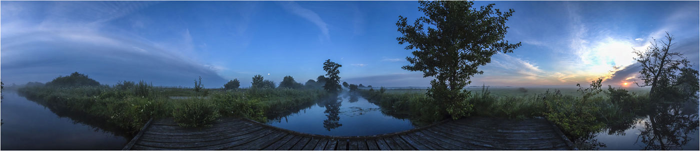 ein Morgen im Moor