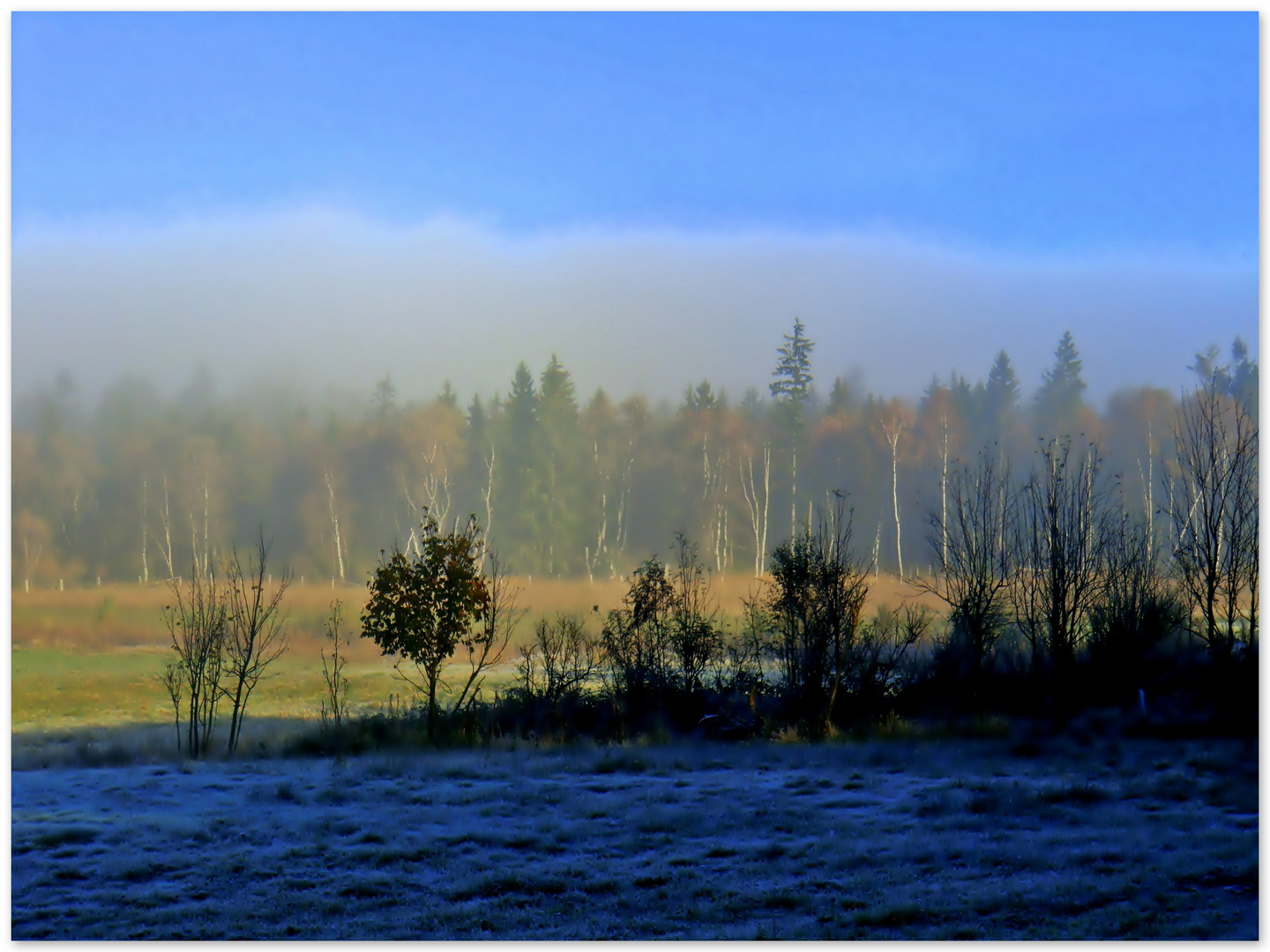 Ein Morgen im Moor (3)