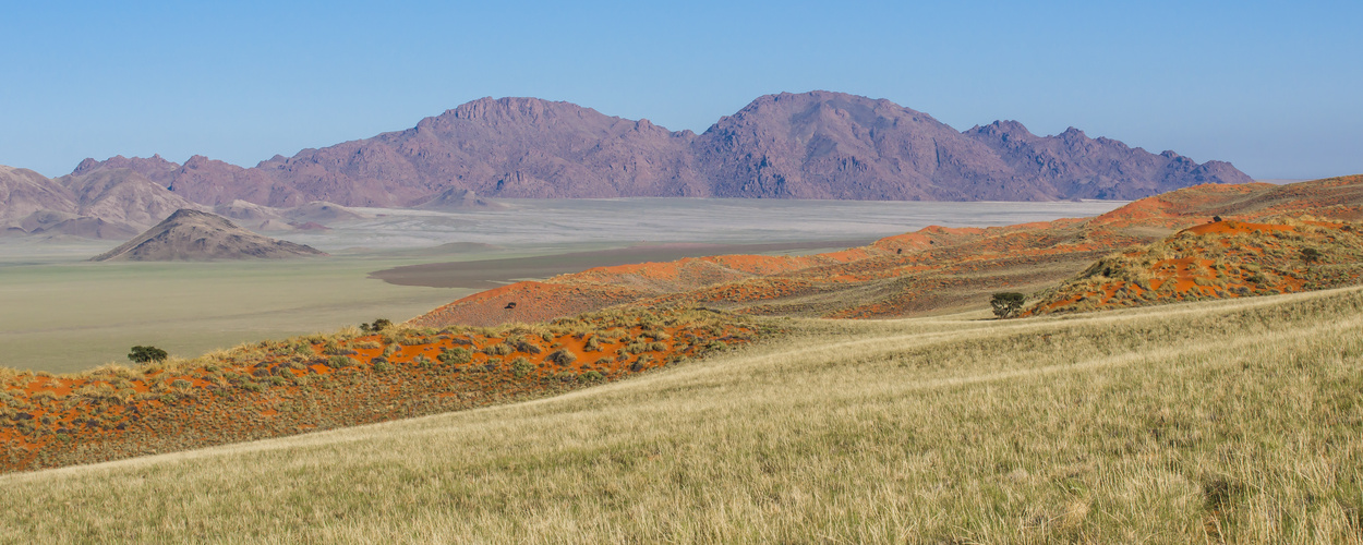 Ein Morgen im Namib Rand