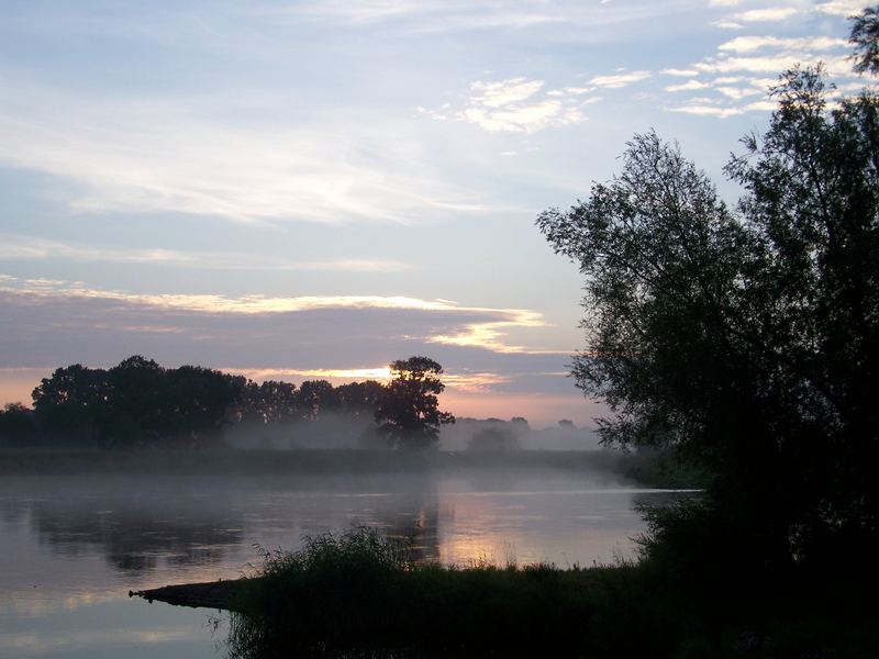 Ein Morgen im Nebel