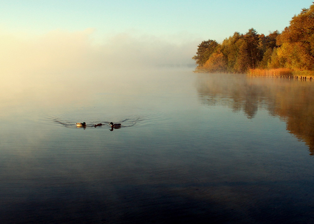 Ein Morgen im November 2