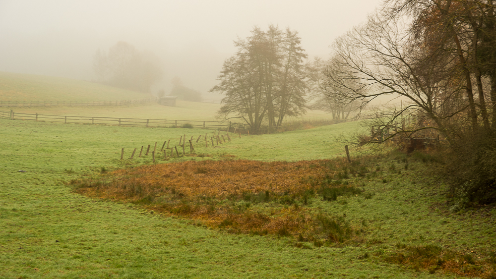 Ein Morgen im November