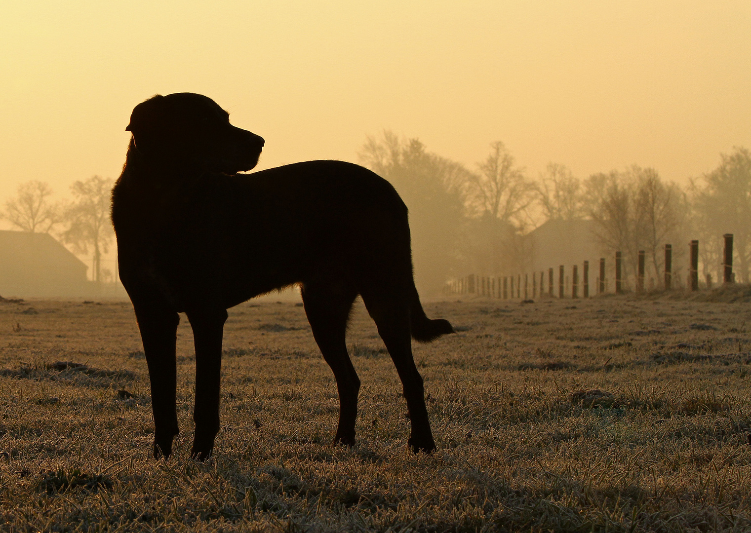 * ...ein Morgen im November *