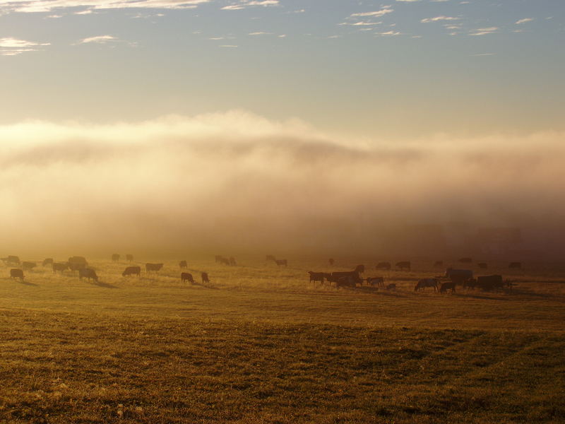 Ein Morgen im November..