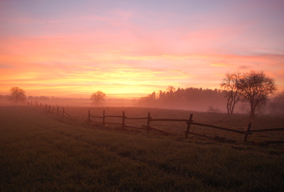 ein morgen im november - irgendwo bei ratzeburg