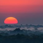 Ein Morgen im Pantanal