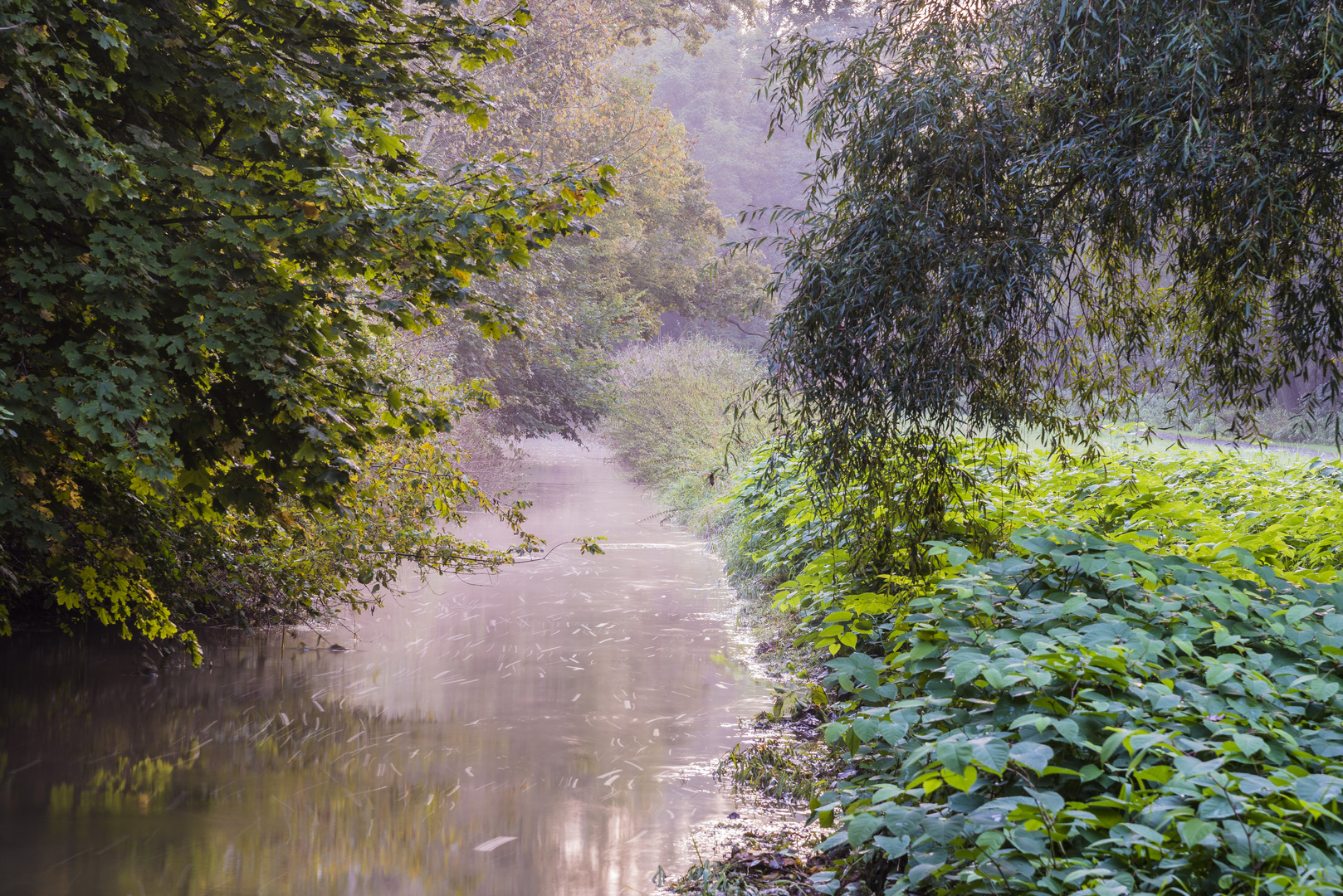 Ein Morgen im Park