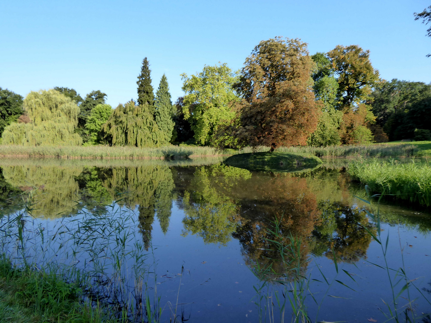 ein Morgen im Park