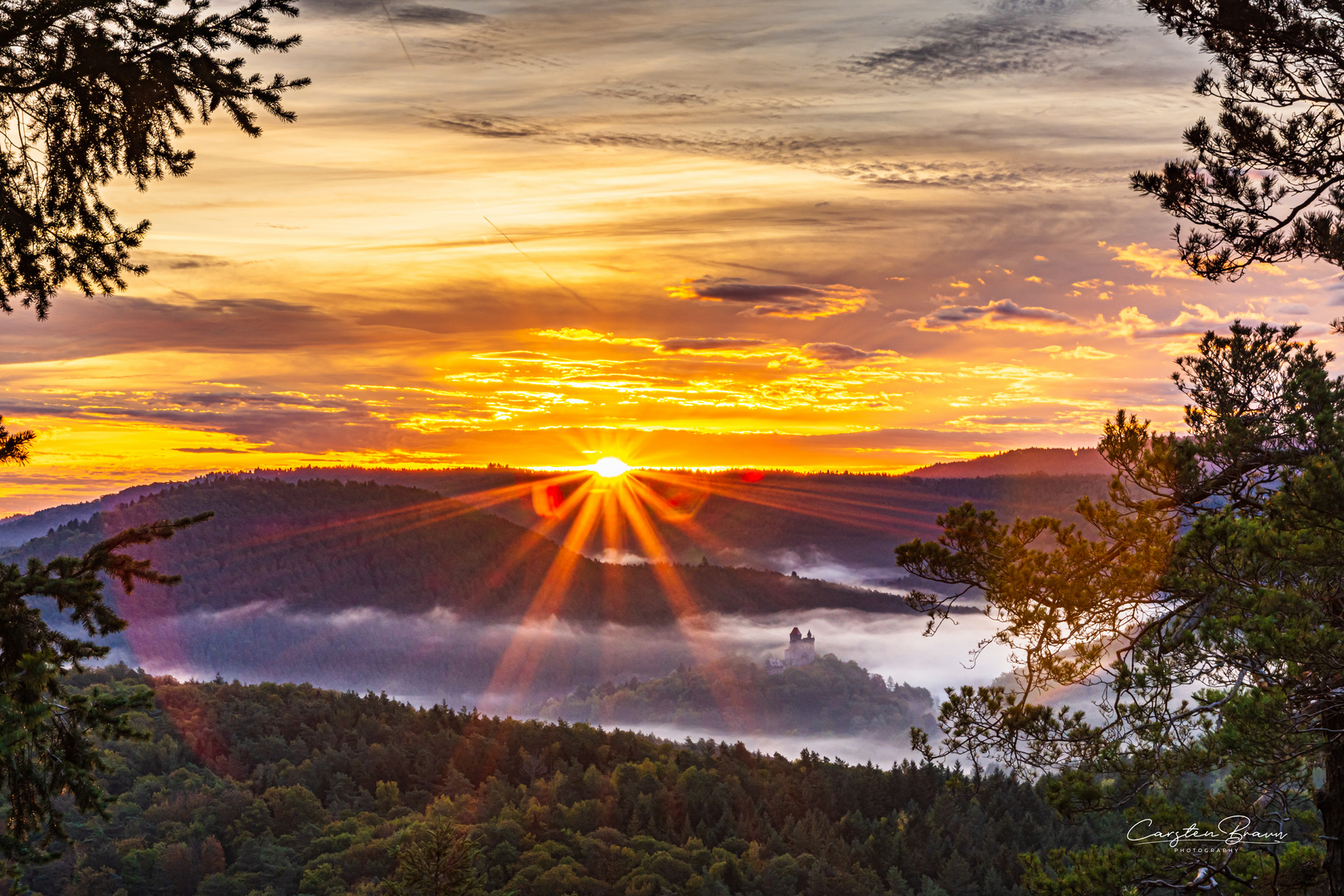 Ein Morgen im Pfälzerwald bei Busenberg 