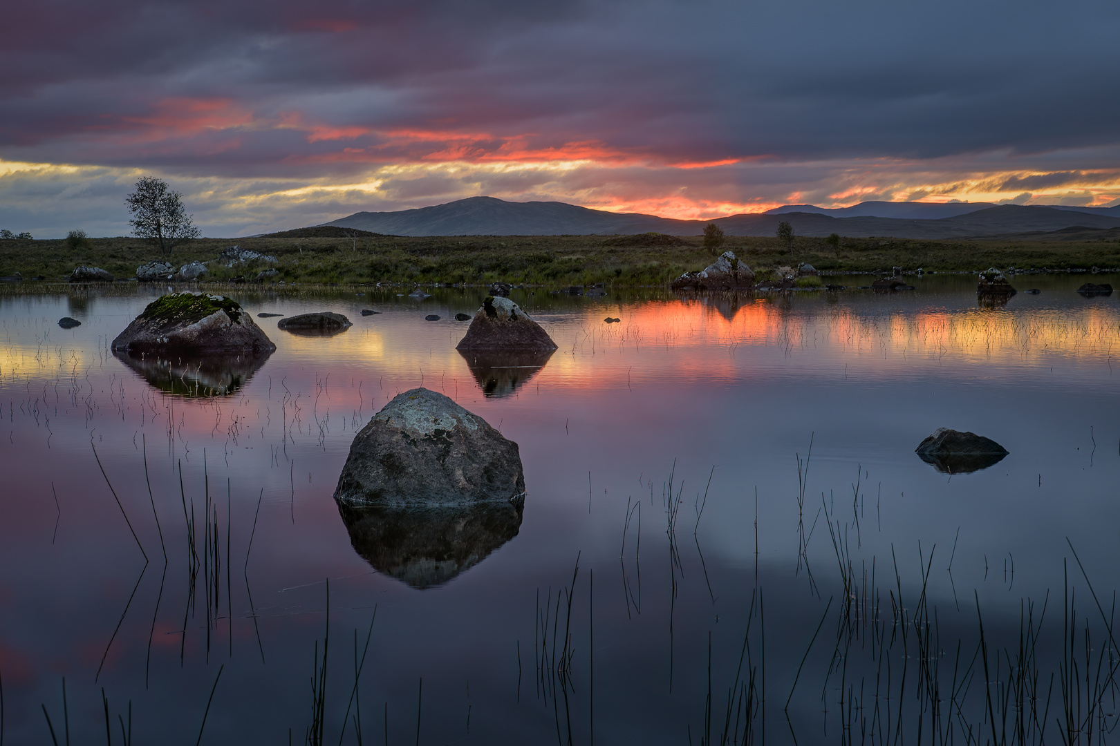 ein Morgen im Rannoch Moor