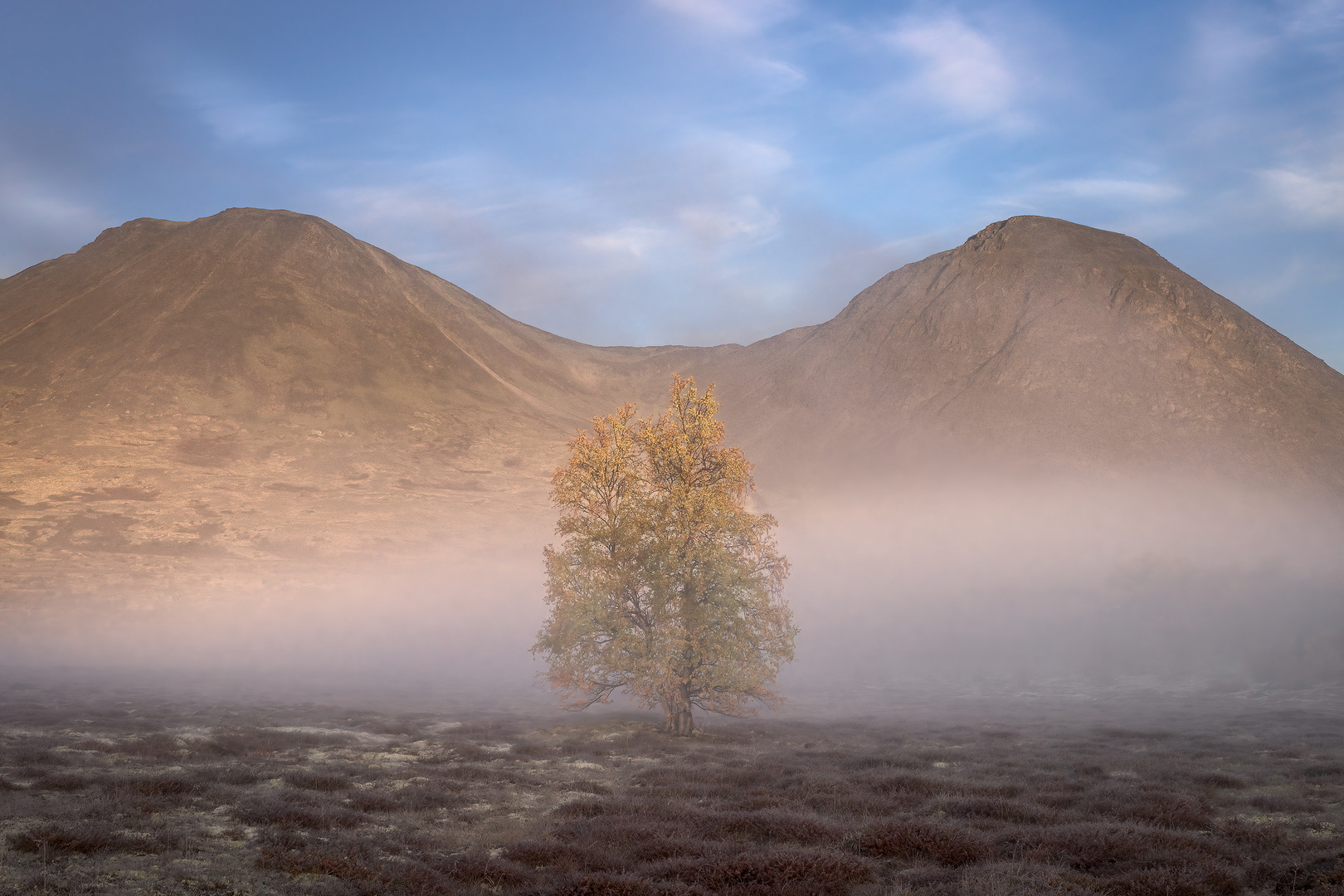 Ein Morgen im Rondane NP