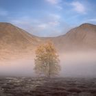 Ein Morgen im Rondane NP