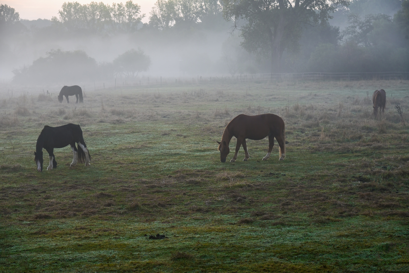 Ein Morgen im September