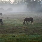 Ein Morgen im September