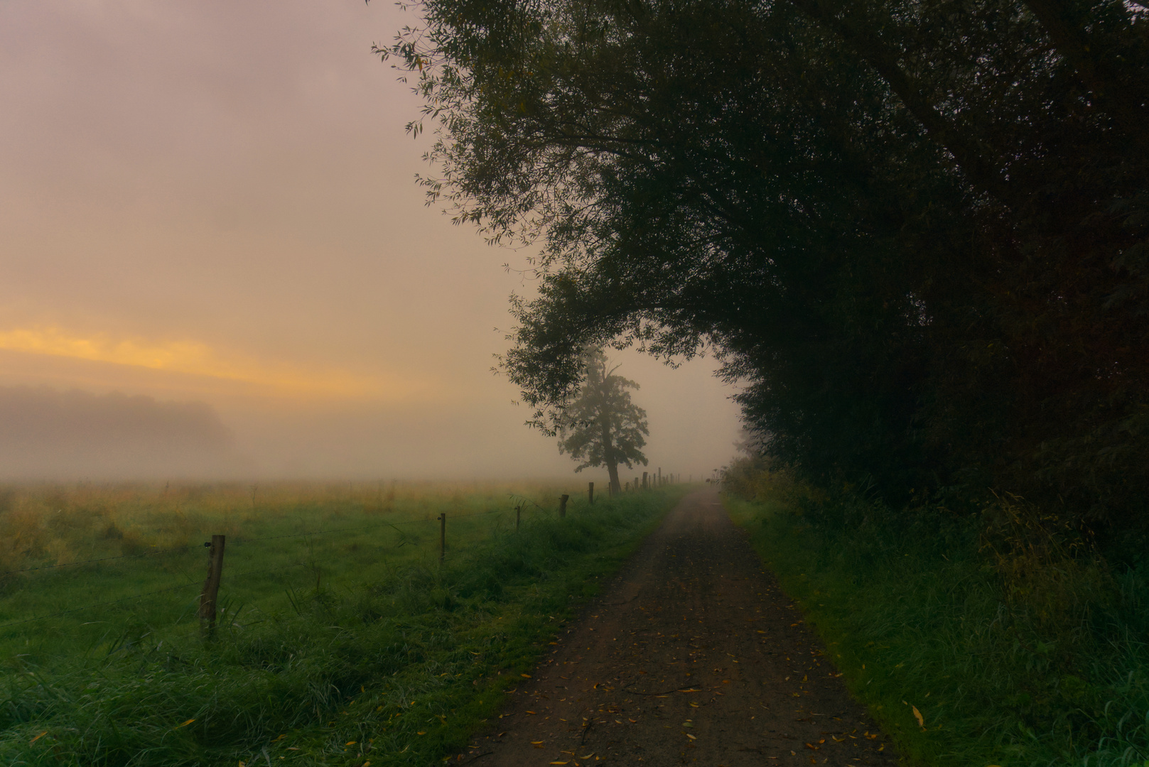 Ein morgen im September