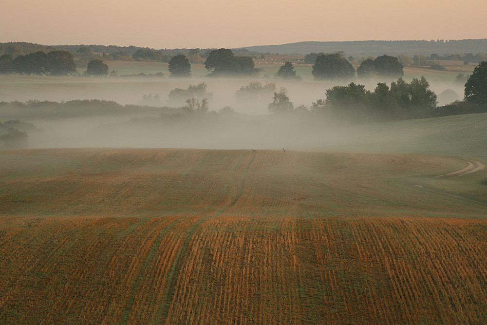 ein Morgen im September