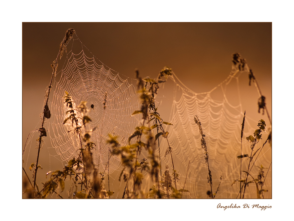 Ein Morgen im September