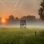 Ein Morgen im Spreewald