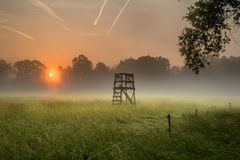 Ein Morgen im Spreewald