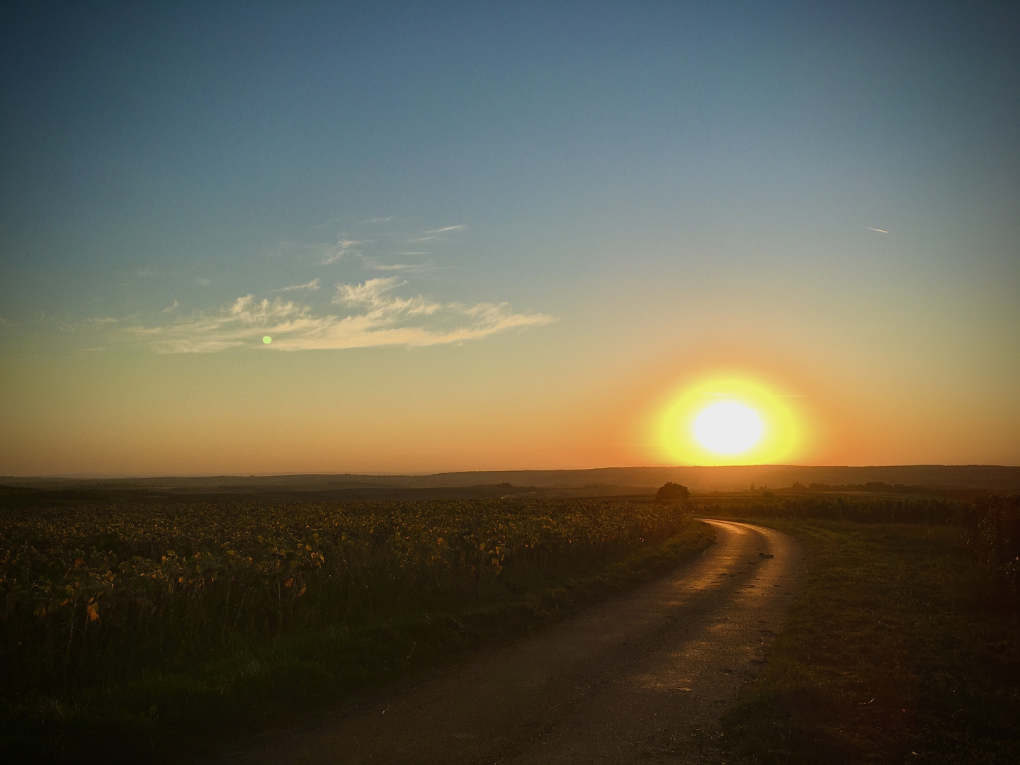 Ein Morgen im Weinviertel