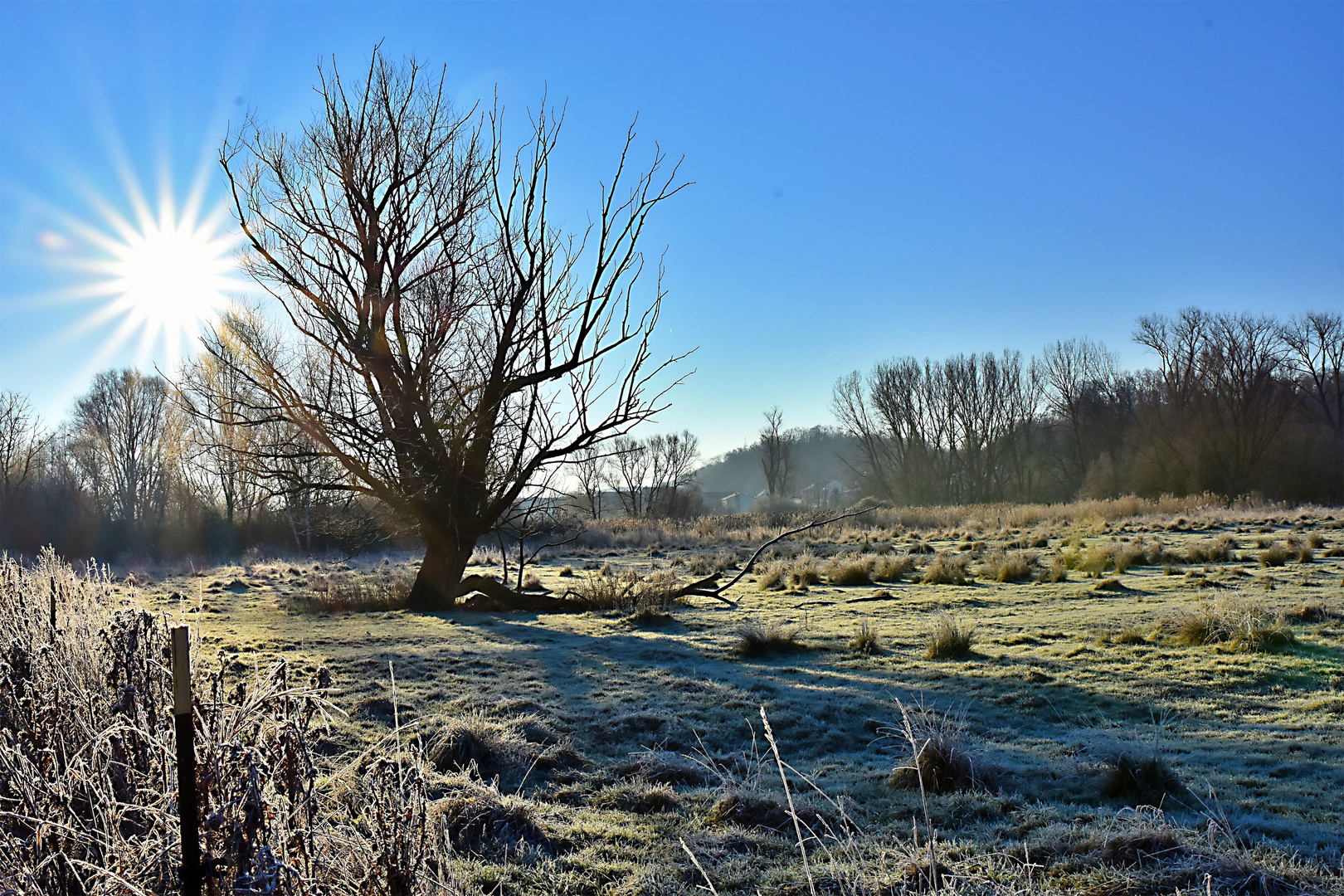 Ein Morgen im Winter 