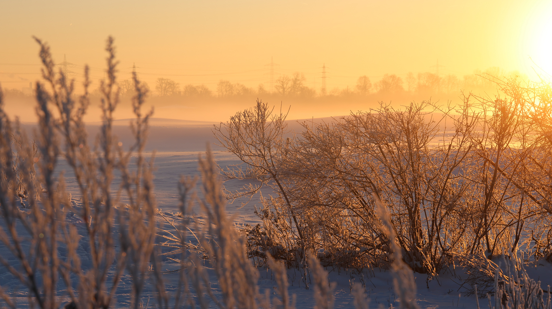 Ein Morgen im Winter 