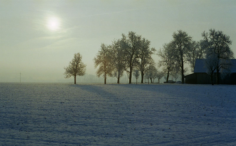 Ein Morgen im Winter