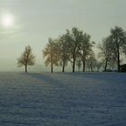 Ein Morgen im Winter